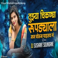 Zapuk Zupuk Vajat Rahtay Ga - DJ Sushant soundane Remix