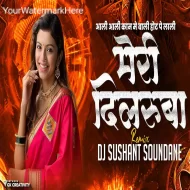 Aali Aali kon Meri Dilruba - DJ Sushant Soundane ReMix