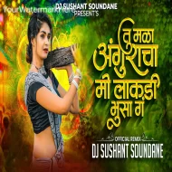 Tu Mala Anguracha Me lakdi Bhusa Ga -  DJ Sushant Soundane ReMix