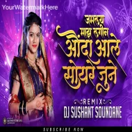 Mala Pavla Bagha Malhari - DJ Sushant Soundane ReMix