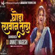 Ghoda Lavin Tula (Dj Song SoundCheck) Dj Aniket Nagesh