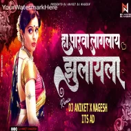 Ha Parva Laglay Jhulayla (Dj Song) Dj Aniket Nagesh Remix