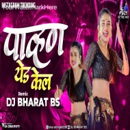 Pavna Yeda Kela - Dj Bharat Bs Remix