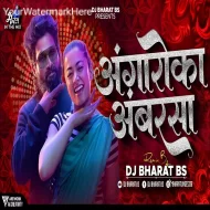 Angaaron Ka Ambar Sa - Dj Bharat Bs Pushpa 2 Song Mix 2024