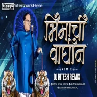 Bhimachi Waghin Dj Song - Ritesh Remix Bhimjayanti 2024