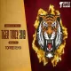 Tiger Track 2025 (Benazir Mix) - Toffee Remix