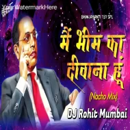 Main Bhim Ka Deewana Hoon Dj Song - 150 Nashik Mix - DJ Rohit Mumbai