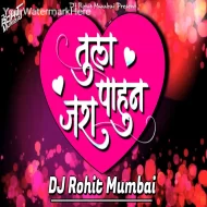 Tula Pahun Jara - DJ Song DJ Rohit Mumbai