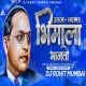 Bhimala Manto Dj Song Anand Shinde DJ Rohit Mumbai