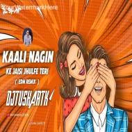 kali kali nagin ke jaisi (edm mix) Dj Tushar Tk