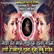 Jevha Pret Majhe Gallitun Tujhya Jayin Marathi Sad Remix DJ Mari Bhai