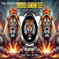 Dholkila Bandhun Tuze Pay ( Dhol Mix ) Dj Hrk