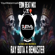 RAY BOTA X REMASTER - (EDM BEAT MIX)  DJ TUSHAL SEN X DJ VENKATESH VK