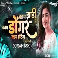 Kay Jhadi Kay Dongar Kay Hotel - DJ Remix