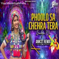 Phoolosa chehra Tera (Garba Dandiya Dj Song) - Anik3t Remix