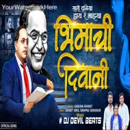 Sari Duniya Haay Ra Mazya Bhimachi Diwani Official Song ReMix