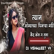 Tyaan Sonyaachya Pinjryamadhi Kaid Kel g Tula - Dj Vishwajeet