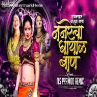 Najrecha Ghayal Baan ( DJ Song ) - Its Pramod Remix