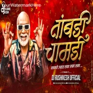 Tambdi Chamdi - DJ Rushikesh