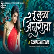 Tu Mala Angrakha Ki Lakdi Bhusa G - DJ Rushikesh Official ReMix