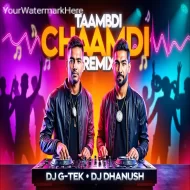 Taambdi Chaamdi - REMIX - DJ G -TEK  DJ DHANUSH