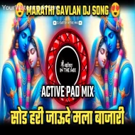 Sod Hari Jaude Mala Bajari - Dj Satish In The Mix