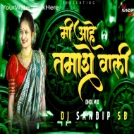 Mi Ahe Tamasha Vali - Dj Sandip Sb