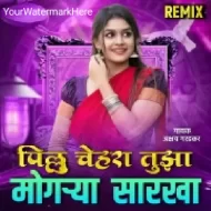 PILLU CHEHRA TUZA MOGARYA SARKHA (BOUNCY)- DJ HRK