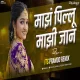 Maz Pillu Mazi Jaan (Dj Song) Its Pramod Remix