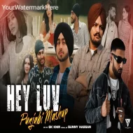 Hey Luv Punjabi Mashup 2024