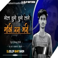 MOLA CHUMO CHUMO LAGE GAUKI RAS BHARI  CG UT REMIX - DjDILIP BHATGAON