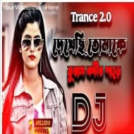 Dekhuci Tomake Turag Nodir Pare Picnic Dj Song