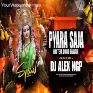 Pyara Saja Hai Tera Dwar Bhawani - DJ Alex NGP ReMix