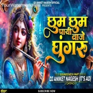 Chum Chum Payi Vaje Ghungar Part 2 (SoundCheck) Dj Aniket Nagesh