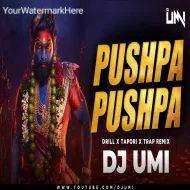 PUSHPA PUSHPA (Remix) DJ Umi