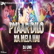 Pyar Dilon Ka Mela Hai (Remix) DJ Umi