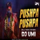 PUSHPA PUSHPA (Remix) DJ Umi