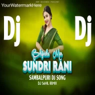 Bhijuche Mor Sundri Rani (Sambalpuri Dj Song) Dj Sahil Remix