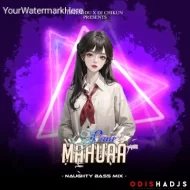 MAHUA PANI (NAUGHTY BASS MIX) DJ GUDDU X DJ CHIKUN