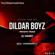 DILDAR BOYZ PRIVATE TRACK (NAUGHTY BASS MIX) DJ HARRY