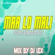 MAA LO MALI BICHHA (EDM TAPORI MIX 2024) DJ LEX