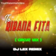 RIBAN FITA (CIRCUIT MIX) DJ LEX