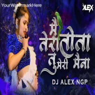 Main Tere Tota Tu Meri Maina - Tapori mix - Dj Alex Ngp