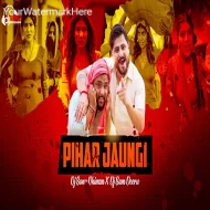 Pihar Chali Jaaungi - Dj Sonu Dhiman