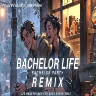 Bachelor Life  Bachelor Party DJ REMIX