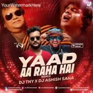 Yaad Aa Raha Hai (Remix) - DJ TNY DJ Ashish Saha