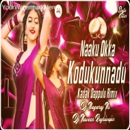 Naaku Okka Kodukunnadu New Folk Dj Remix