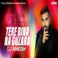 JOSH BRAR : Tere Bina Na Guzara E (Remix) -DJ Ankish