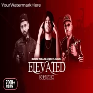 Elevated (Desi Mix)  DJ Nick Dhillon