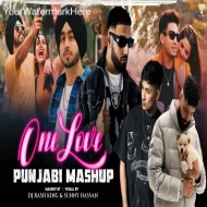 One Love Punjabi Mashup 2024 - Sunny Hassan